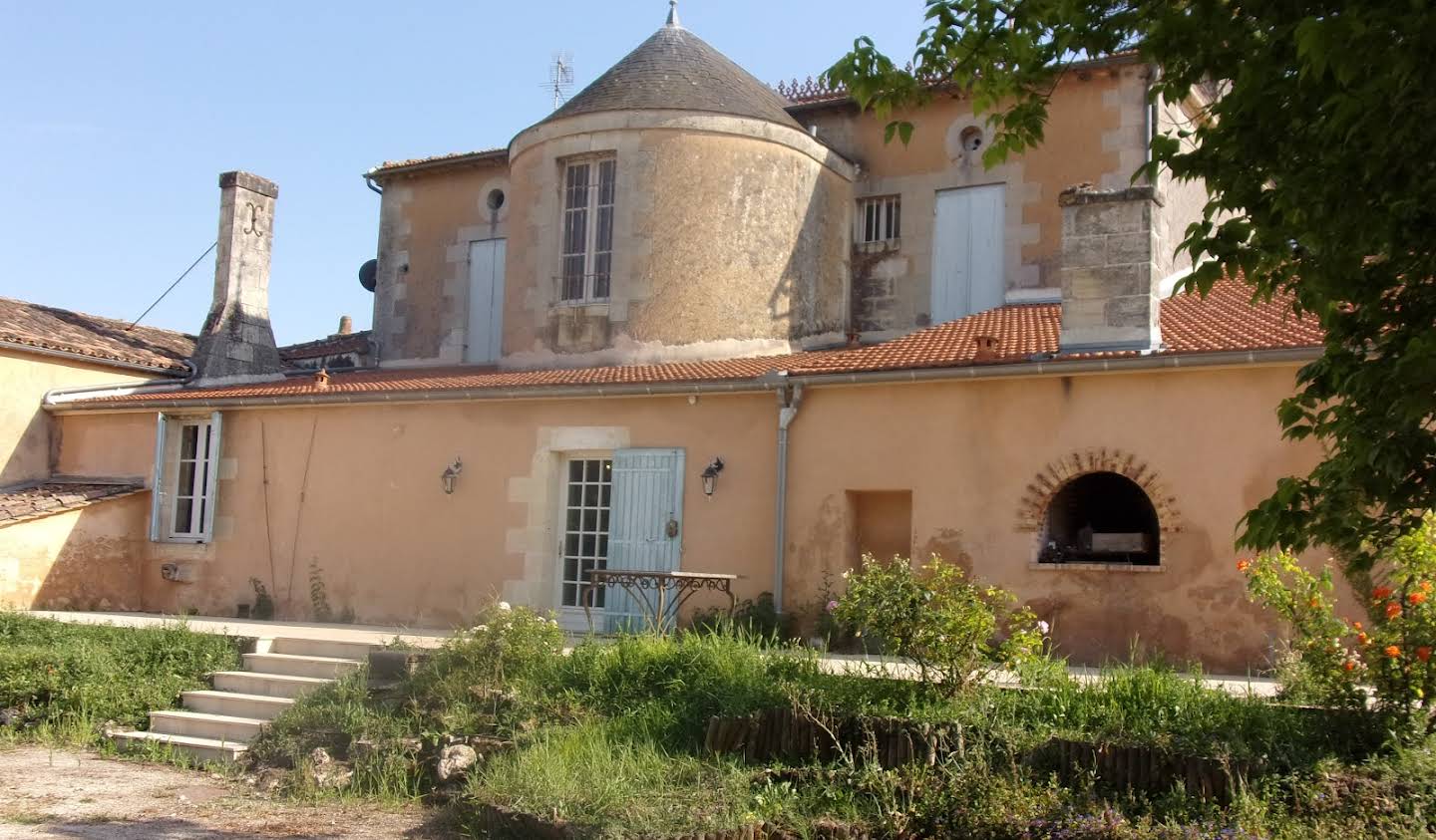 Vineyard Bordeaux