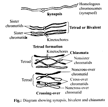 Solution Image