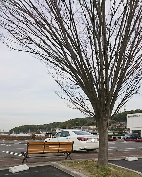 クラウンアスリートのベンチとコラボ🤣・病院の駐車場・210special☆・🐢活に関するカスタム事例の投稿画像6枚目