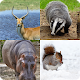 Download Guess the animal! For PC Windows and Mac