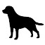 Labrador Retriever Wallpapers Dogs & Puppies