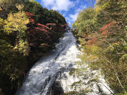 タクシーのたけ