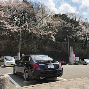 Cクラス セダン W205