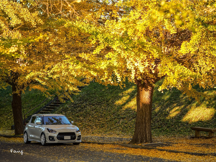 3シリーズ セダンのBMW・スイフトスポーツ・俺達らいもん・イチョウ並木・LUMIX G9 Pro Ⅱに関するカスタム事例の投稿画像7枚目