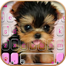 Cute Tongue Cup Puppy Keyboard icon