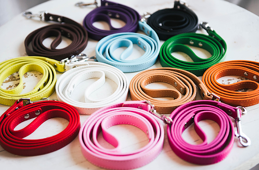 Title 6, Pet leash and collar combo for secure and comfo...