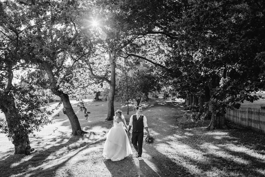 शादी का फोटोग्राफर Fred Assenheimer (fredandhannah)। जनवरी 26 2019 का फोटो