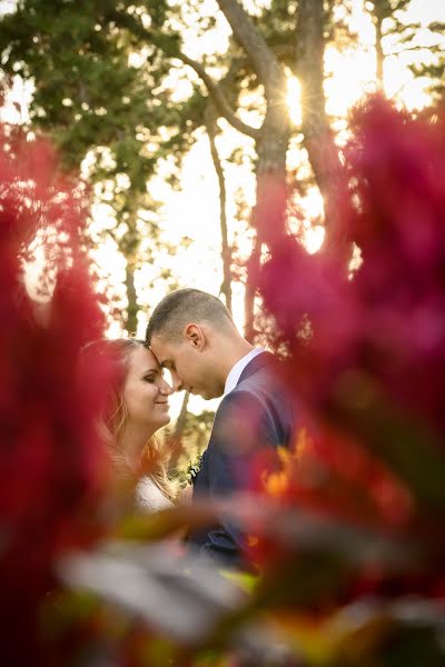 Fotógrafo de casamento Áron Stemler (mangofoto). Foto de 31 de julho 2021