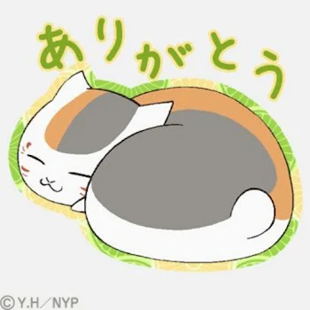 お久しぶりです(ﾉ)'ω`(ヾ)