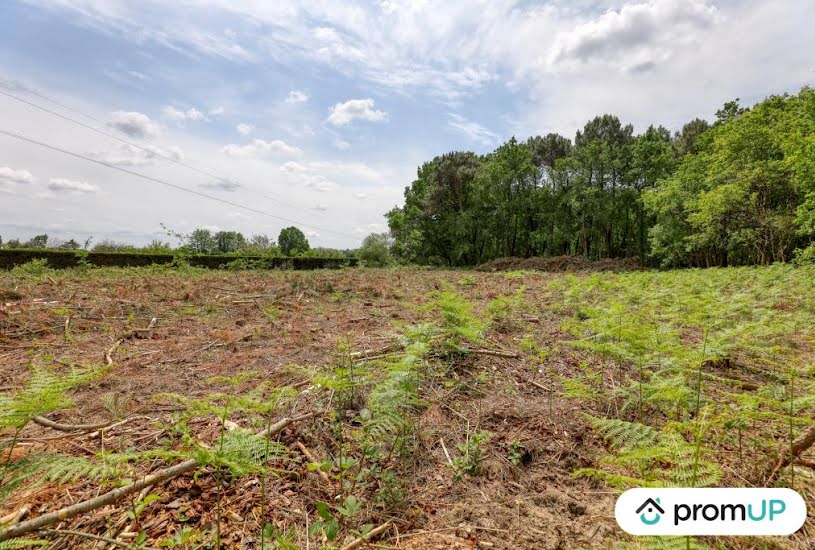  Vente Terrain à bâtir - à Saint-Philbert-du-Peuple (49160) 