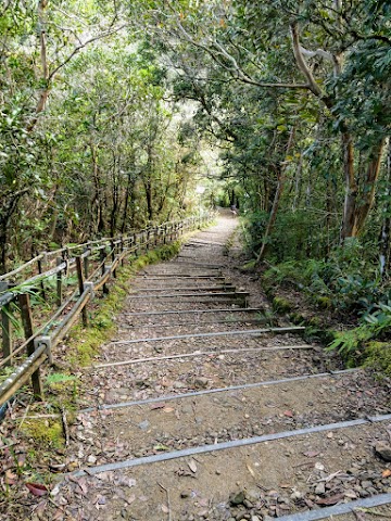 Mount Kinabalu