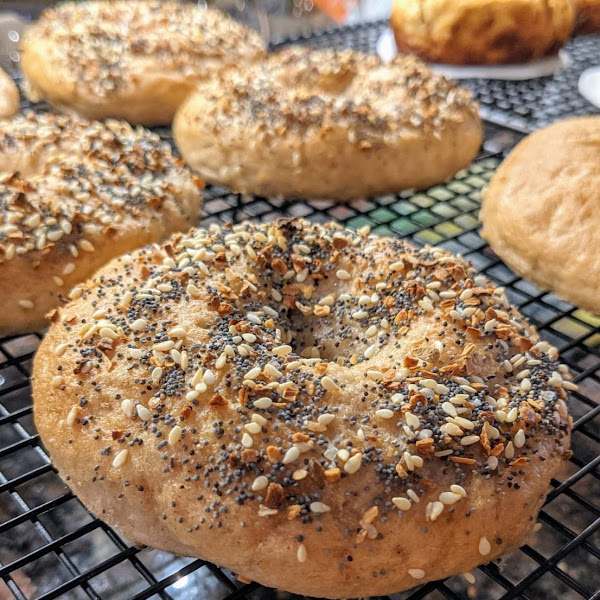 Plain and Everything Bagels