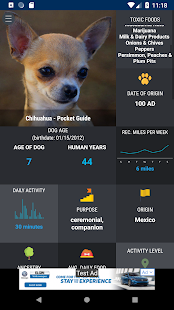 Chihuahua 101(圖1)-速報App