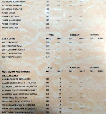 Vaibhav Shawarma And Chinese menu 