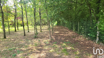 terrain à Saint-Maurice-sur-Aveyron (45)