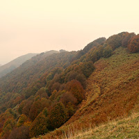 L'autunno. di 