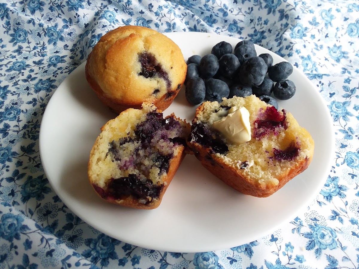 Blueberry Muffins