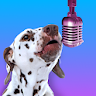 PetStar icon