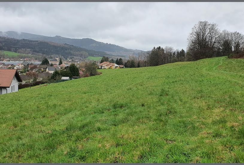  Vente Terrain à bâtir - 11 727m² à Fraize (88230) 