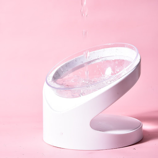 Title 4, Transparent Cat Bowl Single Bowl Cervical Spine...