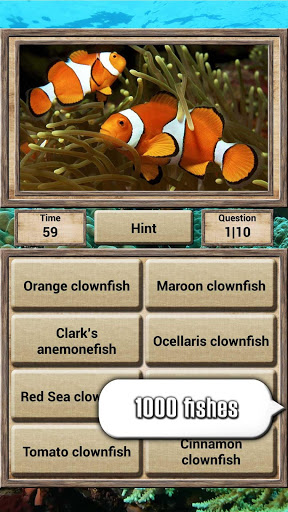 Screenshot Animal Kingdom - Quiz Game