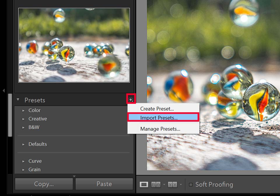 How to export raw files from lightroom