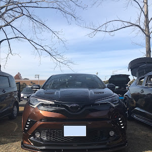 C-HR ZYX10