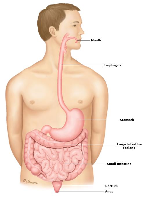 Diagram

Description automatically generated