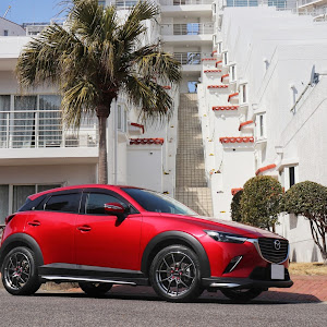 CX-3 DK5FW