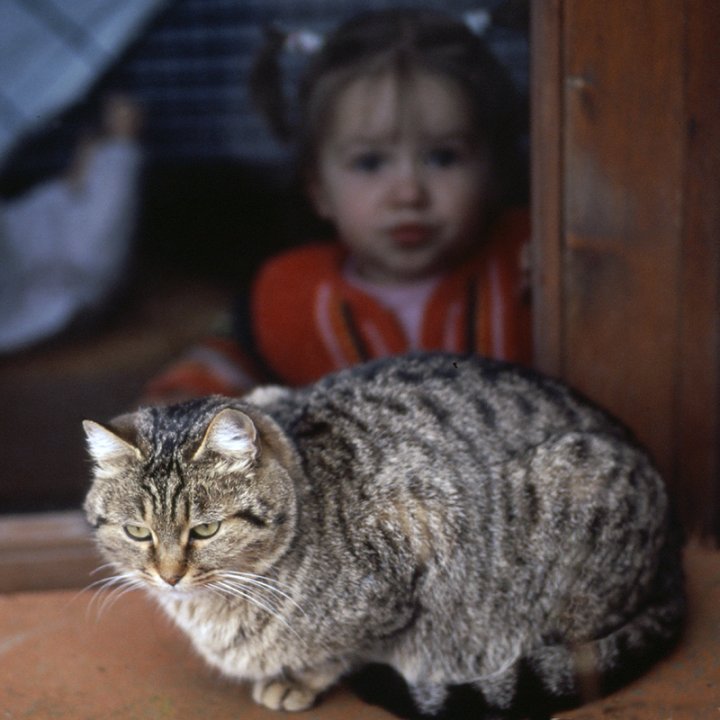 il gatto e la bimba di barbelfo