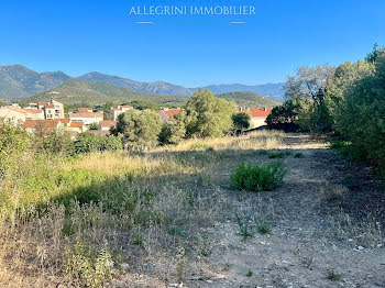 terrain à Saint-Florent (2B)