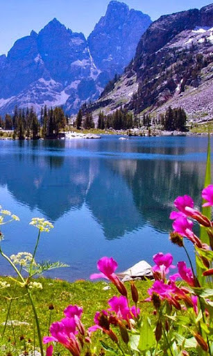 HD Nature Live Wallpaper