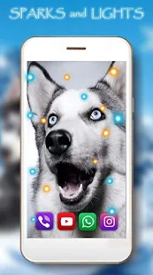 Husky Winter live wallpaper(圖5)-速報App