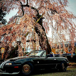 ロードスター NA6CE