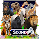 Download Animals Sounds, Speak Names & HD Wallpapers For PC Windows and Mac