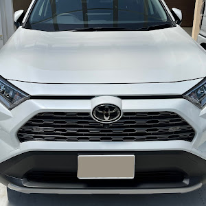 RAV4 MXAA54