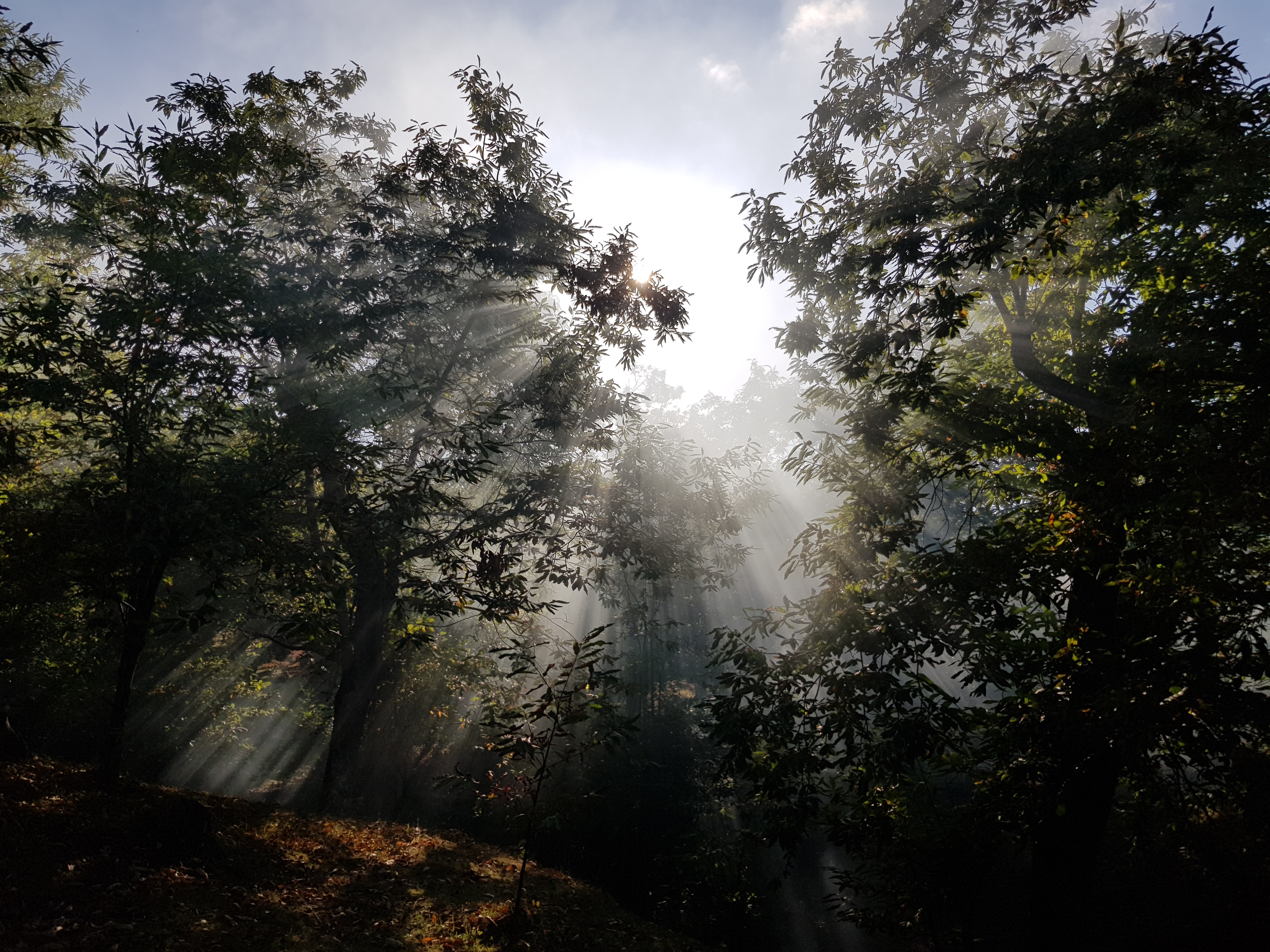 Fumo contro luce di ytse_jam