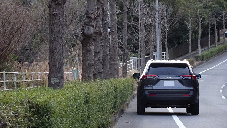 RAV4のSUV女子・RAV4・洗車・バイト中・オーナー不在に関するカスタム事例の投稿画像2枚目