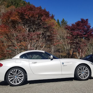 Z4