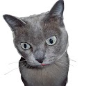 CC CopyCat Recipe Collection