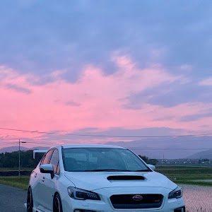 WRX STI VAB