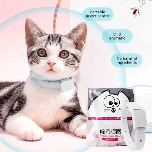Anti Flea Tick Collar For Cat Small Dog Antiparasitic 8Month Protection Adjustable Puppy Kitten Collar Breakaway Pet Acc