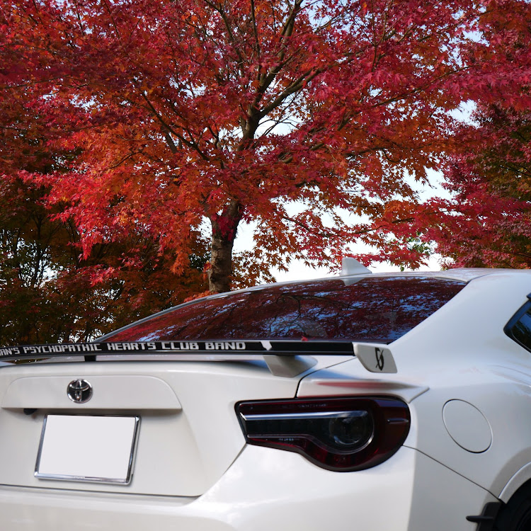 86の紅葉狩り・愛車撮影・コラボ・BRZ・プチオフに関するカスタム事例の投稿画像12枚目