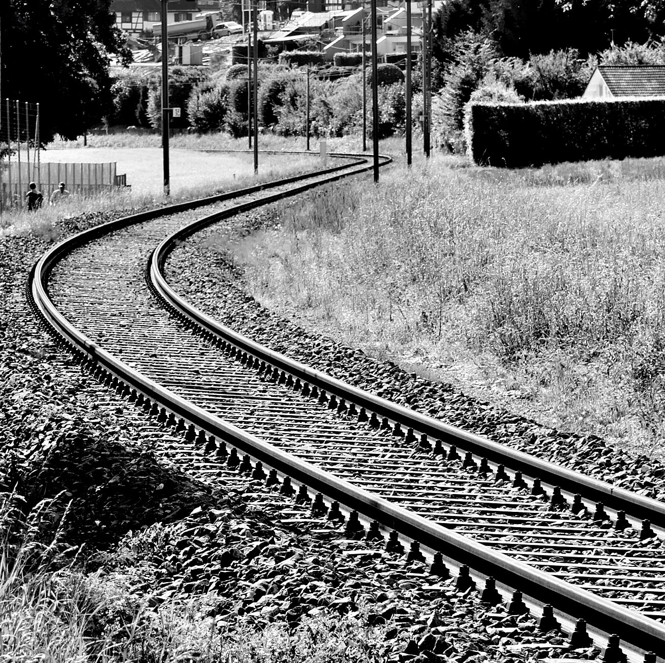 Strada obbligata di gigibe