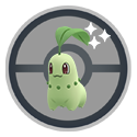 Chikorita — błyszczenie włączone