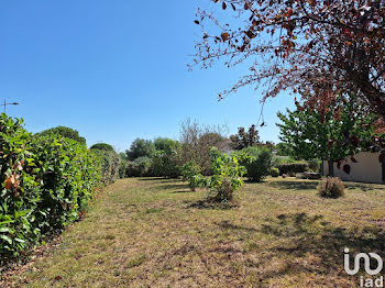 terrain à La Salvetat-Saint-Gilles (31)