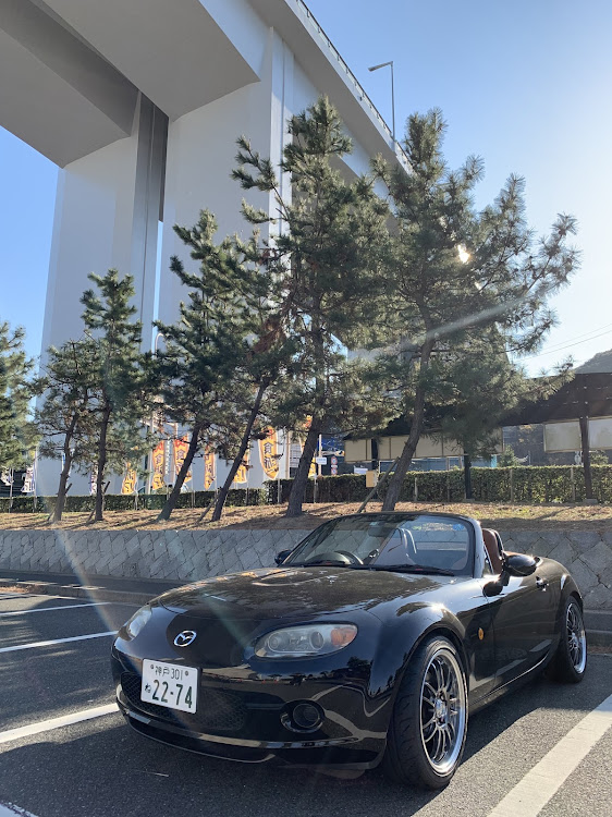 ロードスターのフリチン感♪・シンプルイズベストに関するカスタム事例の投稿画像3枚目