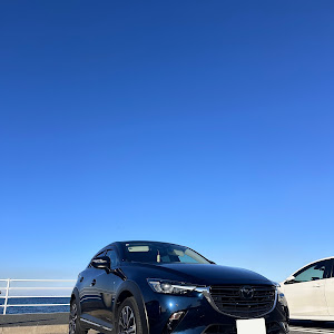 CX-3 DKEFW