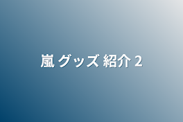 嵐 グッズ 紹介 2