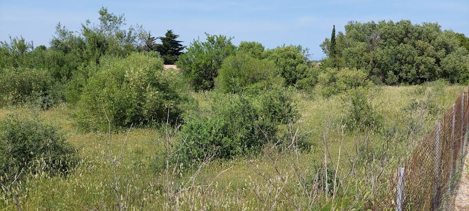 Vente terrain  1550 m² à Leucate (11370), 85 000 €